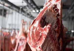 Reino Unido decide manter compras de carnes do Brasil, informa associação