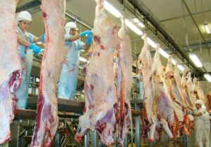Tarifa dos EUA tem impacto menor que o esperado para o agro de MS
