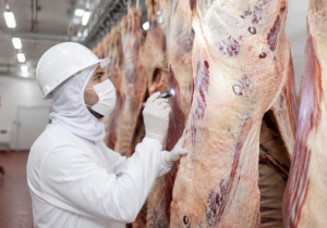 Abates caem em julho limita oferta e sustenta preços do boi mesmo com desaceleração das exportações