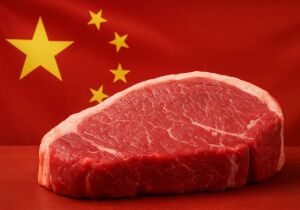 Brasil atinge 90% da cota de carne para a China