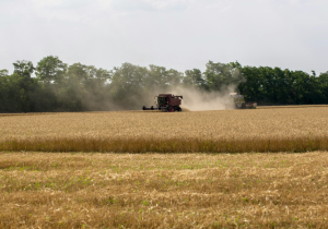 Recursos para a agricultura empresarial somam R$ 28,2 bi no primeiro mês da safra 2026/2027