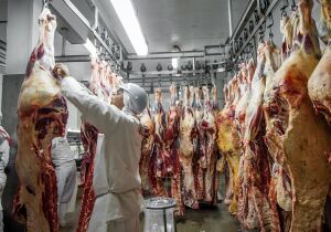 Coreia do Sul inicia missão técnica para avaliar importação de carne bovina do Brasil