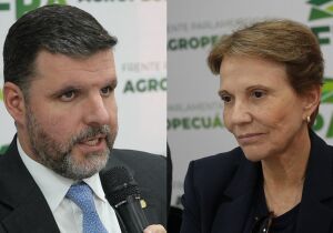 Acordo Mercosul-UE: oportunidade comercial ou risco para o agro brasileiro?