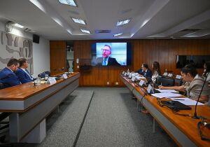 Comissão do Senado amplia esforço contra barreiras da União Europeia à carne brasileira