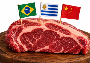 Cota do Uruguai pode abrir espaço para mais 80 mil toneladas de carne brasileira na China