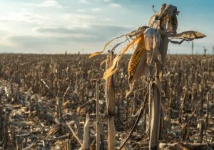 Carta Aberta da Frente Parlamentar da Agropecuária
