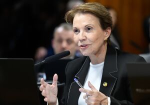 Agro vive uma 'tempestade perfeita', diz senadora Tereza Cristina