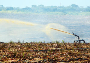 Estudo mapeia áreas no Brasil mais vulneráveis à poluição difusa produzida no campo
