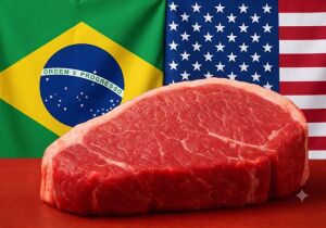 EUA compram 42% mais carne brasileira em setembro, mas avanço não compensa queda da China