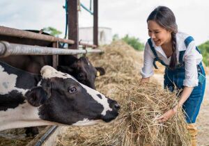 Agro bate recorde histórico de empregos no 2° trimestre de 2026