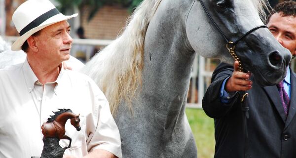 Expogrande confirma Campo Grande como capital do cavalo Árabe