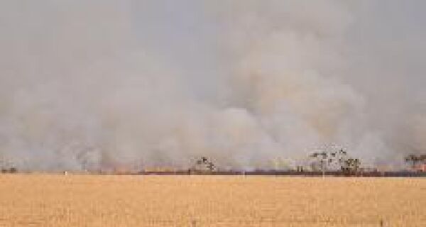 Incêndio em pastagem ameaça plantação de trigo na 080