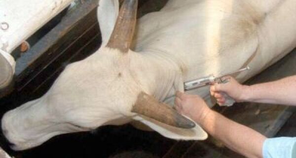 Iagro capacita nova turma de veterinários em Dourados