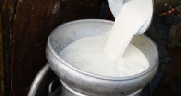 Litro do leite deve ter queda de até 25% graças ao retorno da safra e das chuvas