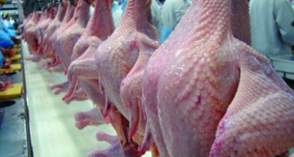 Produção de carne de frango deve bater recorde em 2011, no Brasil 