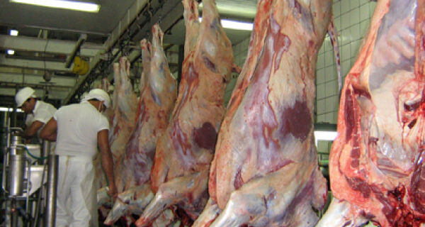 JBS-Friboi se compromete a não comprar carne de origem ilegal