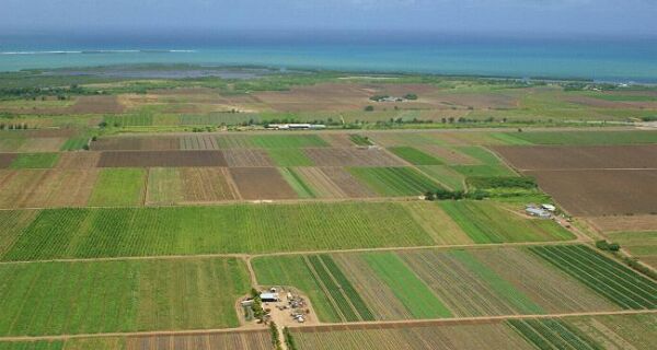 Área de plantio da agricultura de base ecológica no Brasil cresce 30% ao ano