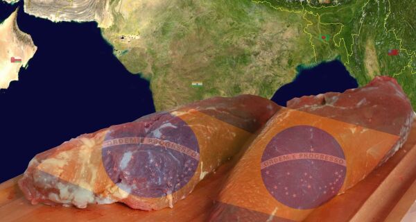 Brasil vai à Rússia negociar fim do embargo à carne
