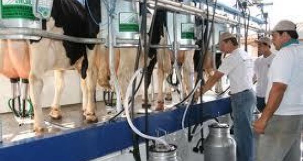 Rio de Janeiro pretende produzir 1 bilhão de litros de leite por ano em 2015