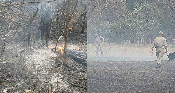 Incêndio na nascente do Córrego Segredo volta e destrói 30 hectares de mata nativa