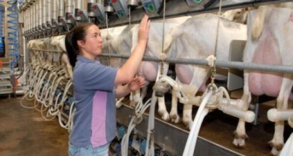 Preço do leite tem alta ao produtor no Brasil