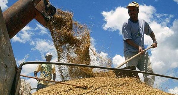 Produção nacional de grãos chegará a 162,9 mi de toneladas, diz Conab