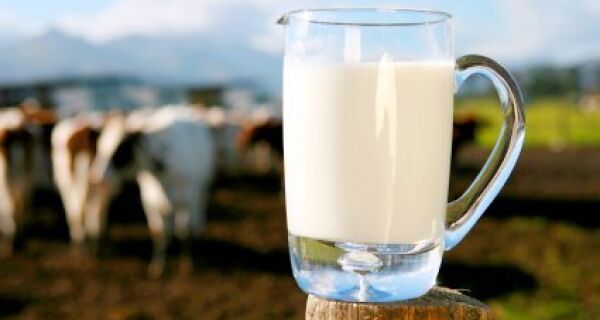 Brasil e Argentina discutirão limite à exportação de leite