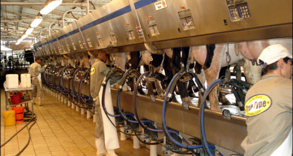Importadores de leite são contra redução de cota da Argentina