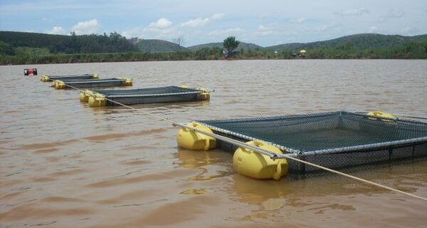 Comitiva boliviana pede apoio à Embrapa Pantanal para piscicultura