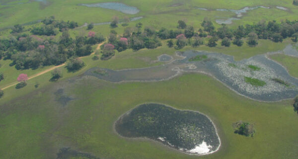 Pantanal contribui para o Modelo Climático Global