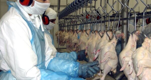 CARNE: Retomada à vista na exportação de frango