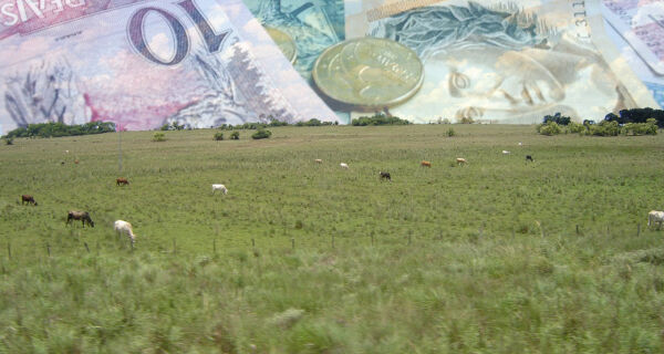 Agropecuária movimentou R$ 180 bilhões em 2010