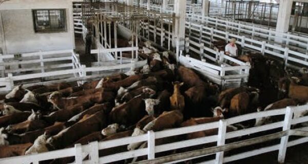 Argentina autoriza Paraguai a exportar carne bovina