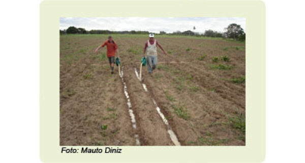 Manipueira contra pragas e doenças na agricultura