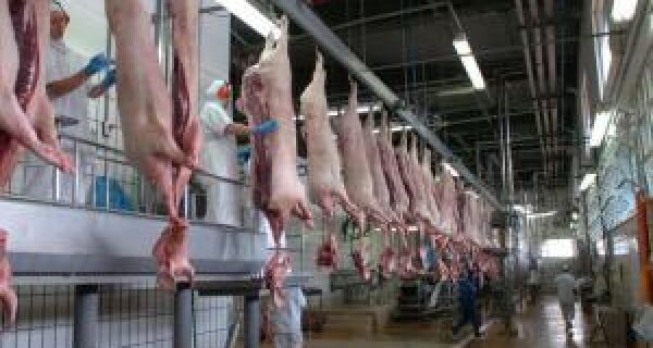 Estados Unidos abrem seu mercado para carne suína brasileira