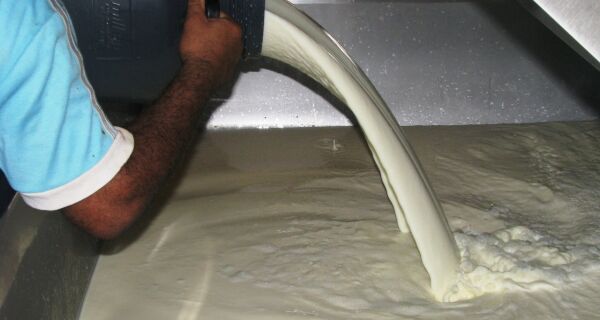 Produção de leite vai crescer 4% em 2012