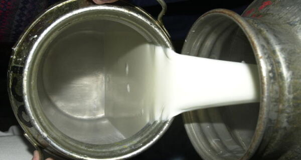 Produção e comercialização do leite tipo B não foram interrompidas