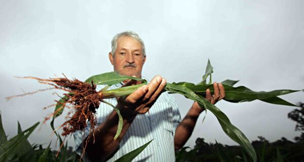 Chaco, a nova fronteira agrícola do Paraguai