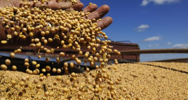 Soja fechou  semana de feriado cotada a R$ 50 a saca em MS
