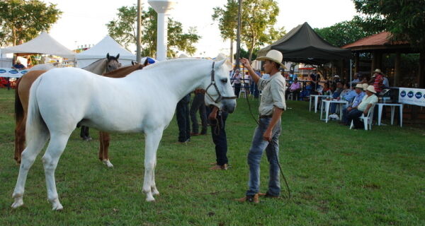 Associação de criadores lança 5ª Cavalgada no Pantanal