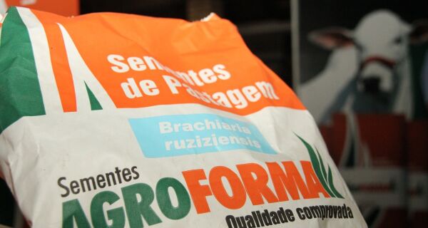 Vendas da Sementes Agroforma supera 50% do resultado esperado
