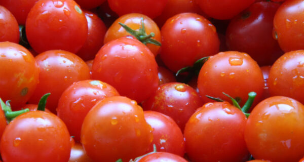 Preços do tomate sobem mais de 100% em SP