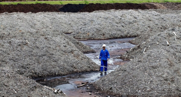 Empresa de Três Lagoas transforma resíduos sólidos em corretivo de solo