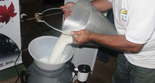 Com entressafra pressionada, preços do leite seguem em queda