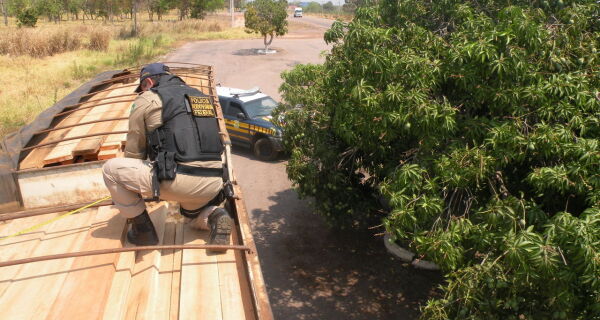 Motorista é preso com madeira sem documentação em Coxim