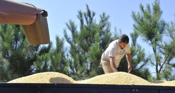 Faturamento do Setor Agropecuário deve crescer 7,9% em 2012