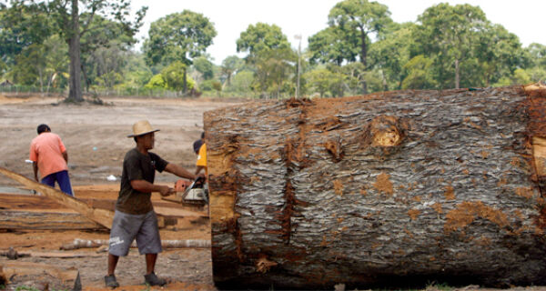 Desmatamento na Amazônia Legal é menor desde 1988, diz governo