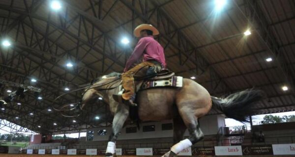 Conquista em prova de rédeas abre novo mercado para o cavalo crioulo