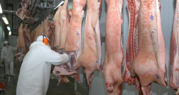 Exportações de carne suína caem 8,9% em 2022, diz ABPA