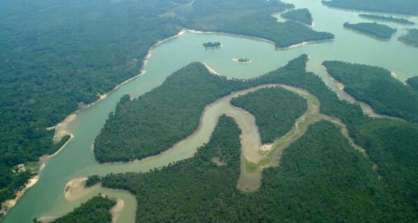 Estudo cita Código Florestal Brasileiro como medida para combater mudanças climáticas